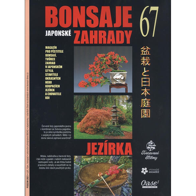 Bonsaje a Japonské záhrady č.67