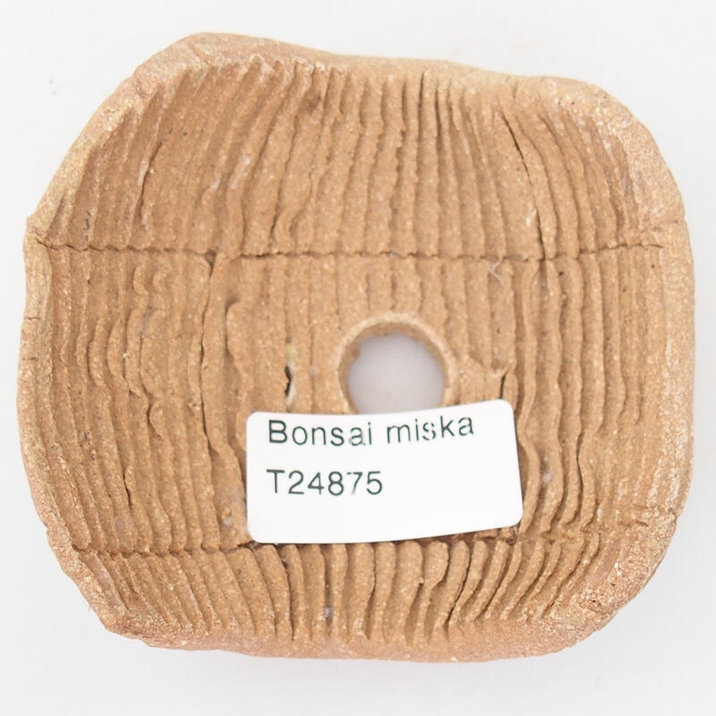 Keramická Škrupina 8 x 8,5 x 4,5 cm , farba béžová