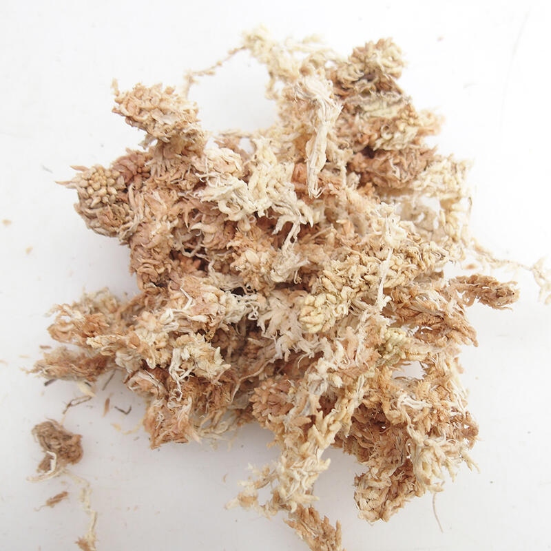 Sphagnum - rašeliník 1 kg