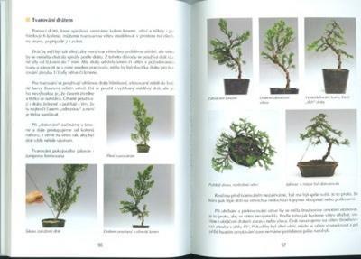 Kniha bonsai nielen v paneláku - 2